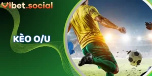 O/U Là Gì? Bắt Tài Xỉu Cực Dễ Với Tips Từ VIBET