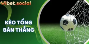 Dự Tổng Bàn Chuẩn Xác – Kinh Nghiệm Từ VIBET