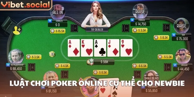 Luật chơi Poker online cụ thể cho Newbie