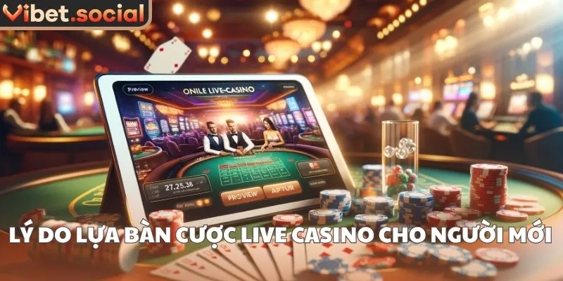 Lý do lựa bàn cược live casino cho người mới 