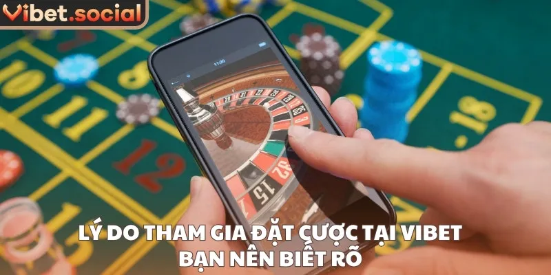 Lý do tham gia đặt cược tại VIBET bạn nên biết rõ